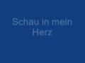 Megaherz - Schau in mein Herz