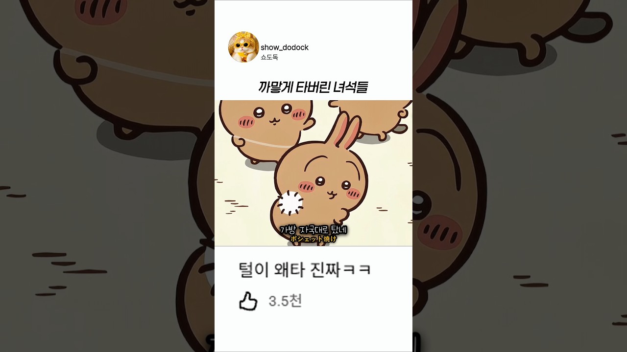 인어섬에서 다녀온 후  까맣게 탐