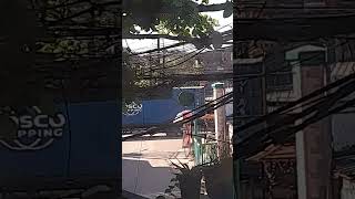 @Miguel_YTOfficial7667 Cosco Shipping Container Van Truck #automobile #container