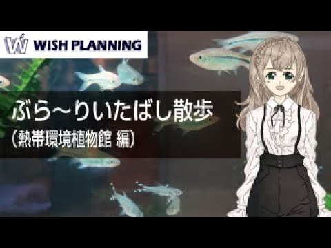 ぶら~りいたばし散歩 熱帯環境植物館 編