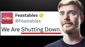 The Satisfying Downfall Of Feastables.. (MrBeast)
