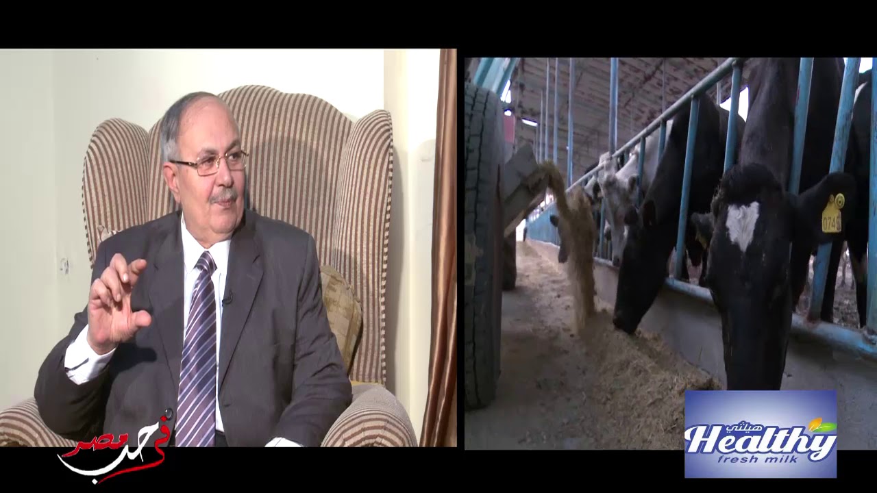 لقاء الحاج / مصطفى لطفي رئيس مجلس إدارة مصنع#هيلثي_ميلك