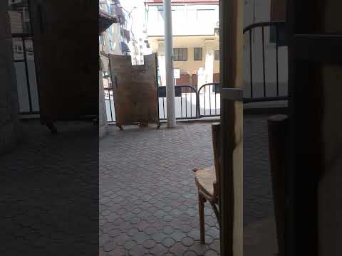   شارع محمد على ببورسعيد