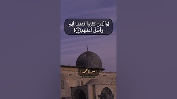 سورة محمد الآية ٧ الى ١١ بصوت الشيخ محمد صديق المنشاوي