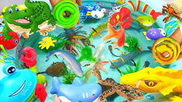 Động vật dễ thương,tôm hùm,ốc mượn hồn,chim cánh cụt,các loại cá,cá heo,thằn lằn,cá mập,cá voi,cua