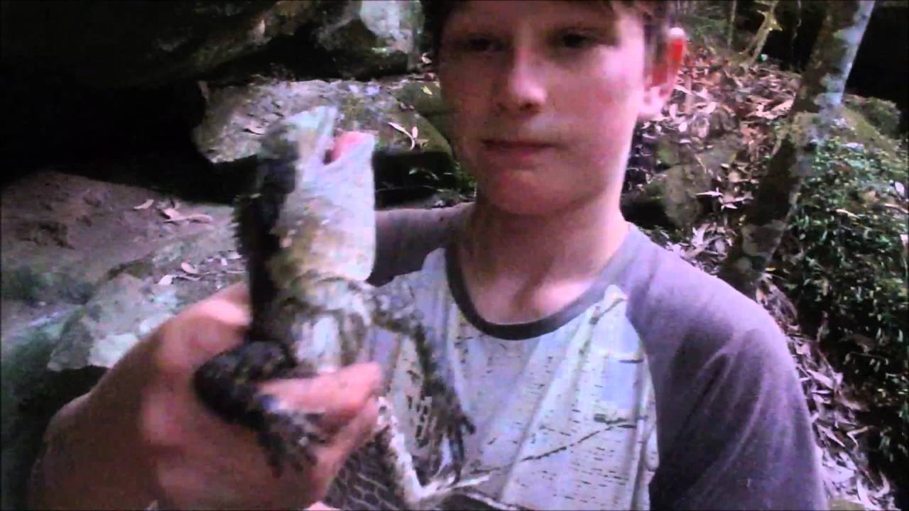 The Water Dragon YouTube