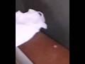 Demon&#39;s caught on camera 🤯 #shorts #youtubeshorts #scary