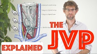 JVP Examination Explained  Clinical Skills Deep Dive  Medical School Revision  Dr Gill