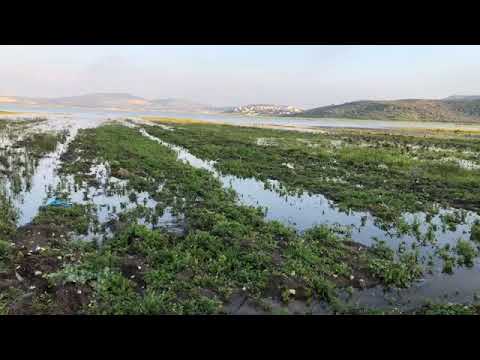 حسن ابو الرب مباشر من مرج صانور جنين الخميس 25 2 2021