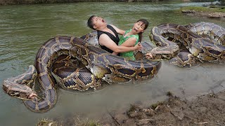Primitive Life - Swimming Meet Giant Anaconda Attacks - Biggest Python Attack The Husband