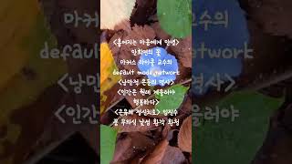 소중한 꽃. 멍 때림의 효과#문제해결로의 꿈과 꿈의 공격#무의식과 트라우마#대면, 용기와 저항 인정과 수용