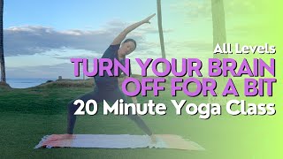 20 Minute Yoga Class - Turn Your Brain Off for a Bit screenshot 2