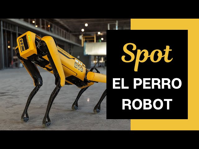 Cómo funciona Spot? - El perro robot de Boston Dynamics 