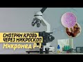 Лабораторный Микроскоп Микромед Р-1 LED | ОБЗОР