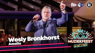 Wesly Bronkhorst - Amalia • Muziekfeest op het Plein 2023 // Sterren NL Resimi