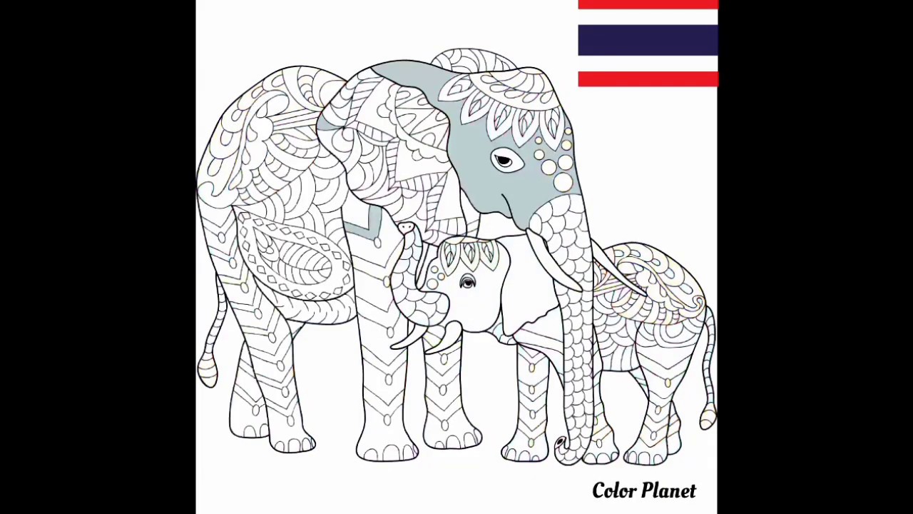 Top 5 Countries National Animals Mobile Game painting.