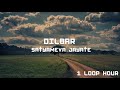 DILBAR -1HOUR LOOP -  Satyameva Jayate |