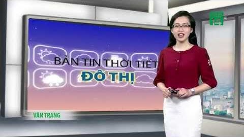 Thời tiết các thành phố lớn ngày 08/02/2019 (mùng 4 Tết) | VTC14