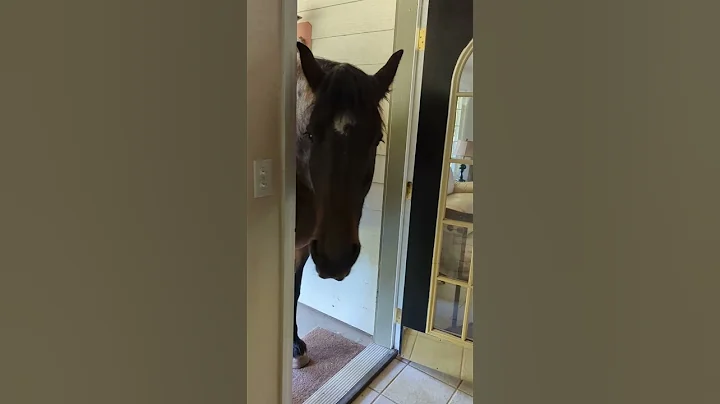 A visit from Love