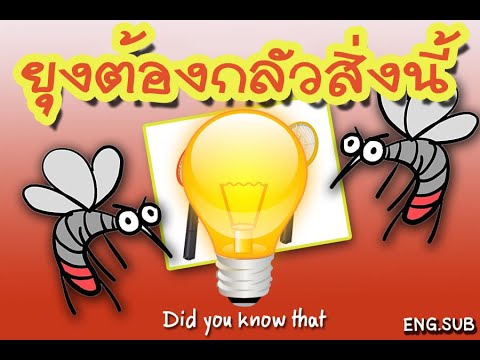 ประวัติไม้ตียุงไฟฟ้า. History of electric mosquito swatter.