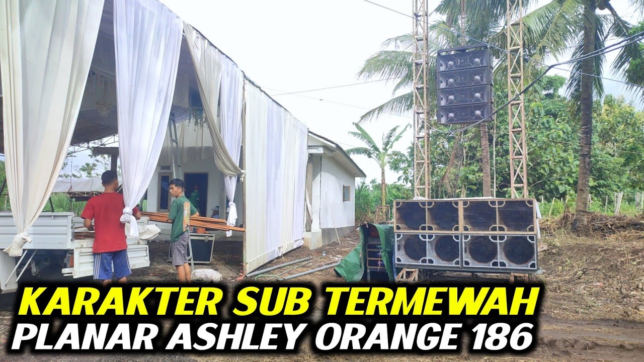 MELONGO..! KARAKTER ASHLEY ORANGE 186 DI BOX PLANAR BREWOG BIKIN KAGUM..!!! 