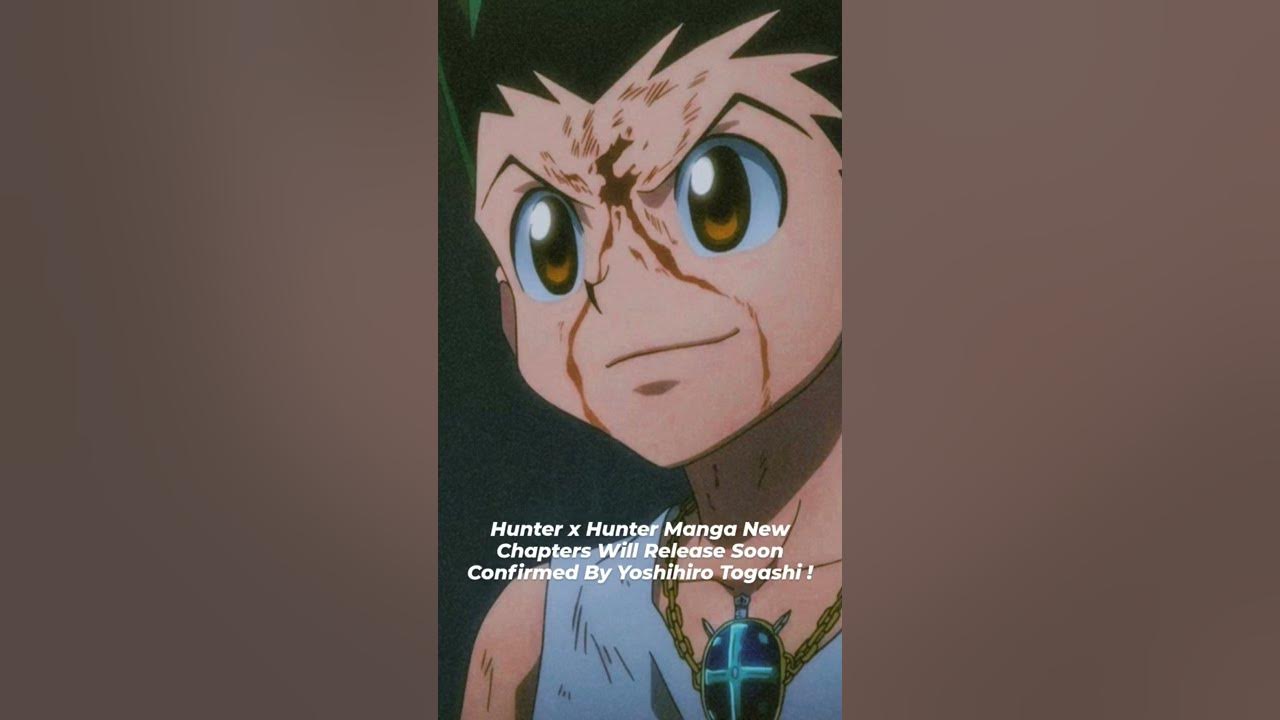Hunter x Hunter Return Confirmed ! Hunter x Hunter Return Official
