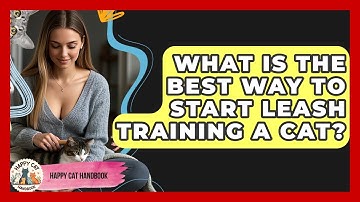 What Is The Best Way To Start Leash Training A Cat? - Happy Cat Handbook