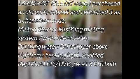 DIY Bioactive Chameleon Cage
