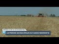 El Campo | Los primeros secanos arrojan muy buenos rendimientos | 23/05/24