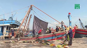 Ngư dân gặp khó khi chuyển đổi nghề giã cào | VTC14