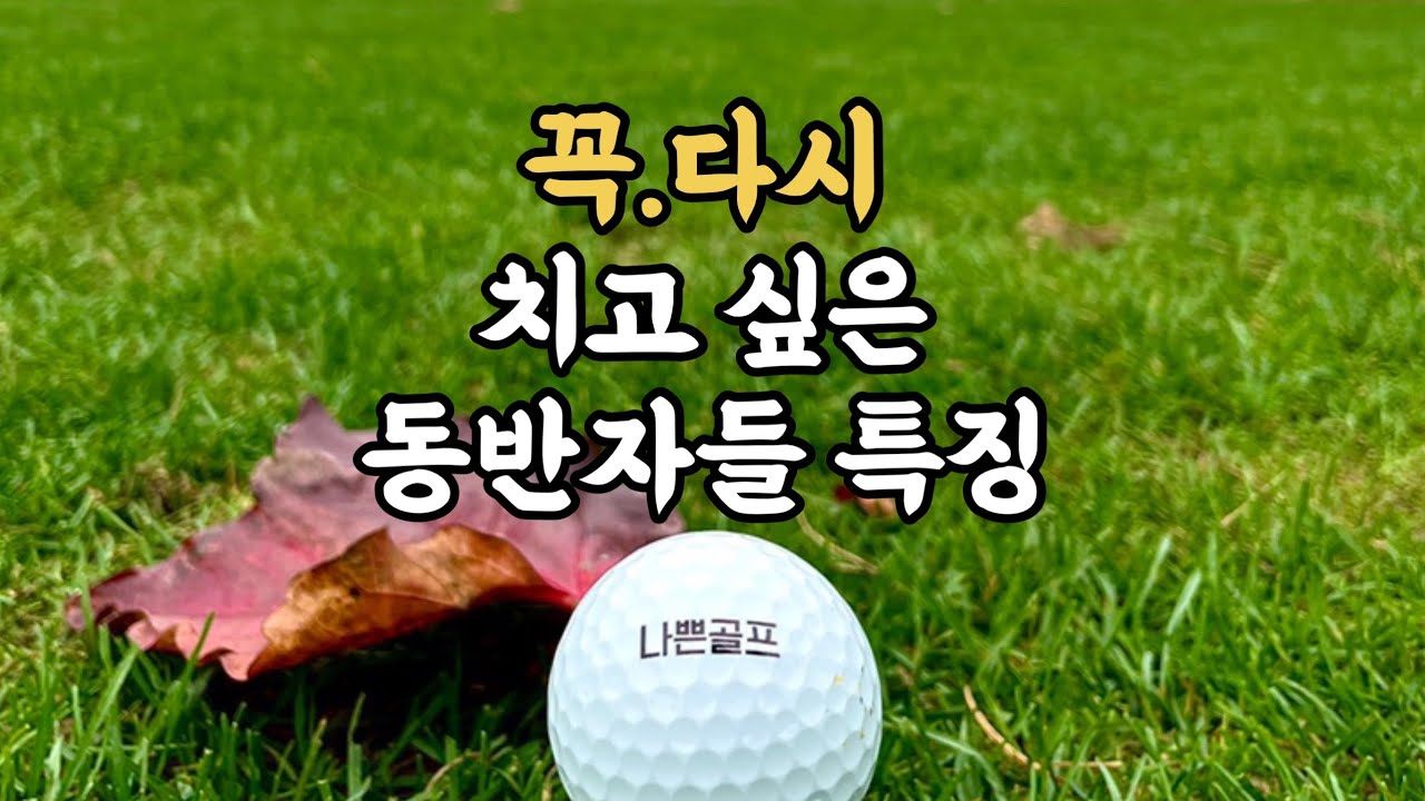 꼭 다시 치고 싶은 골프 동반자들 특징!! (이런 동반자는 대환영)
