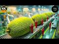 Inside the 50,000 LB Jackfruit Plant – HYPNOTIC Shredding of Vegan Meat