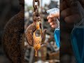 Extreme Rust Removal: Cleaning a Heavy Industrial Hoist Hook! 🛠️ #overhang #hardcastle #liftingbeam