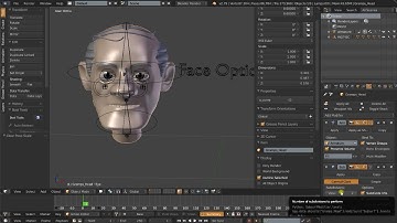 Face Rig Part 6 Custom Properties and Drivers