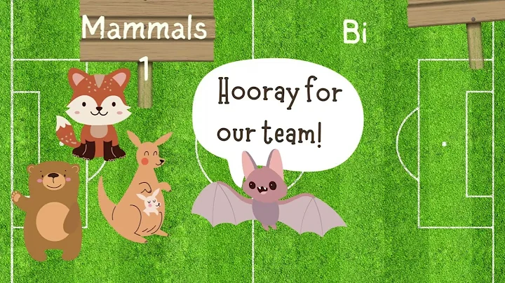 Whose team are you on?