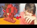 REAZIONE ALLE COSTRUZIONI PIU' CATS!! w/ Anlix98 Charliemoon MINECRAFT ITA Build Battles [FUNNY]