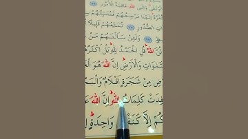 سورة لقمان الأية 26 إلى 28 القارئ سعد الغامدي