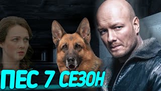 Серіал «Пес» 7 сезон - скоро прем&#39;єра