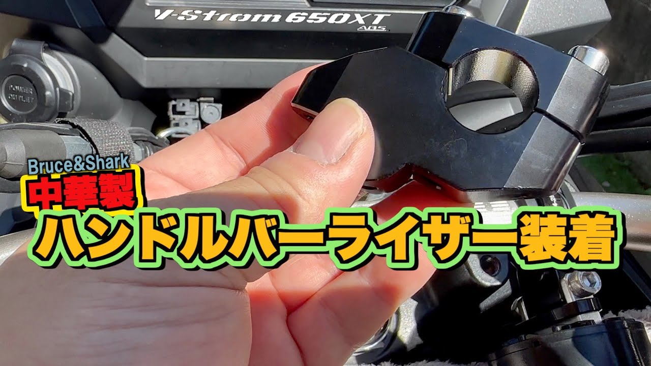 ビジンダーマリ 