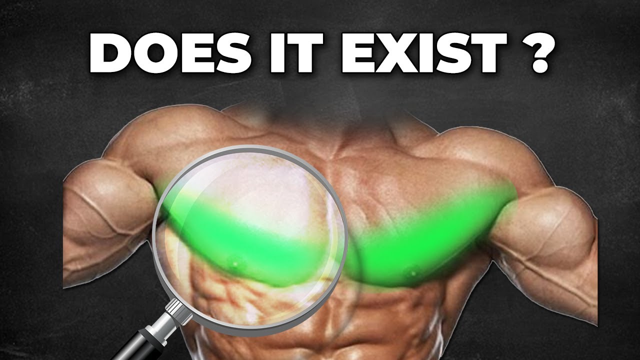 The LOWER CHEST Does It Exist YouTube the-lower-chest-does-it-exist-youtube