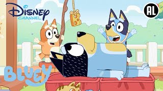 Bluey | Hoera Momentjes!🙌 | Disney Channel NL