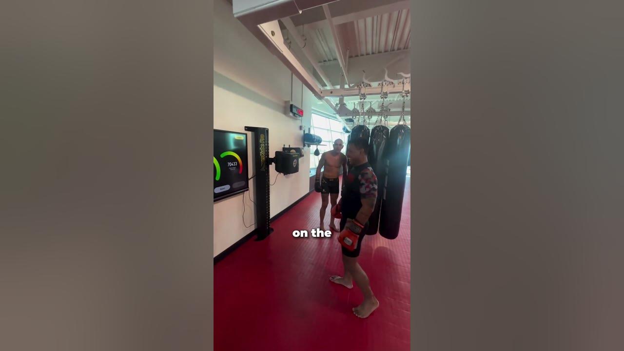 The Hardest Punch In The UFC (alexpoatanpereira) YouTube