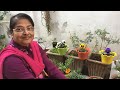 How to manage winter garden kachi phulwari indian winter flowers garden tour with aruna