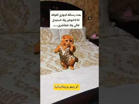 جرح قلبي الشعب الصيني ماله حل تيك توك ترند تصميمي ضحك متابعه اكسبلور قصص لايك اشتراك