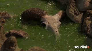 FX Showreel 2026