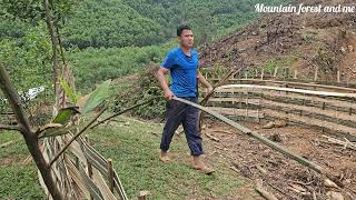 I made a 15m long bamboo fence to grow bananas and many other vegetables (EP184)