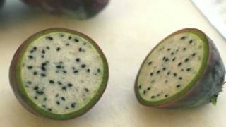 Can you eat Cactus Fruit? Yes! Here's how.