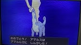 ポケットモンスターxy 色違いシュシュプ出現 ポケトレ Youtube