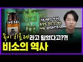 영롱한 녹색이 치명적인 독 의 상징이 된 비극적인 이유 의학의 역사 비소 편 영롱한 녹색이 치명적인 독 의 상징이 된 비극적인 이유 의학의 역사 비소 편