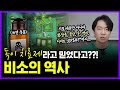 영롱한 녹색이 치명적인 &#39;독’의 상징이 된 비극적인 이유 | 의학의 역사 비소 편